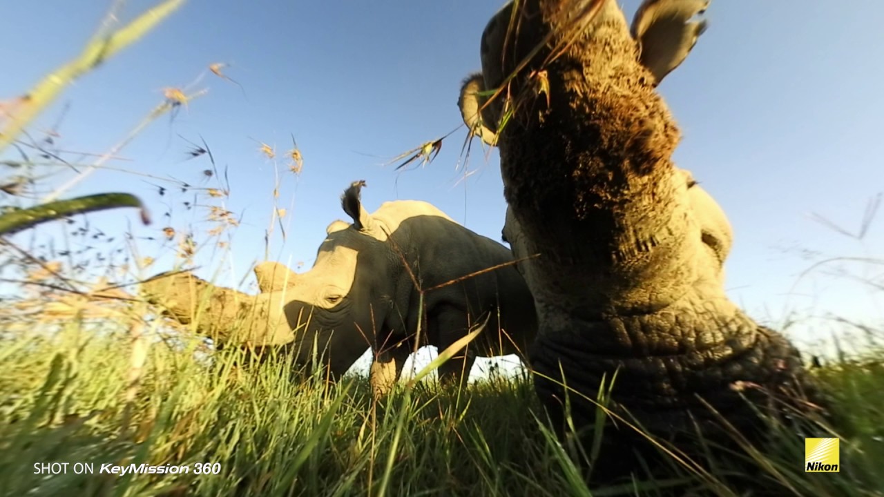 video-ami-vitale-neemt-de-nikon-keymission-360-mee-op-avontuur