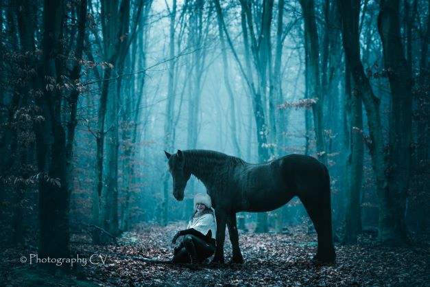 met-mist-in-een-donker-bos