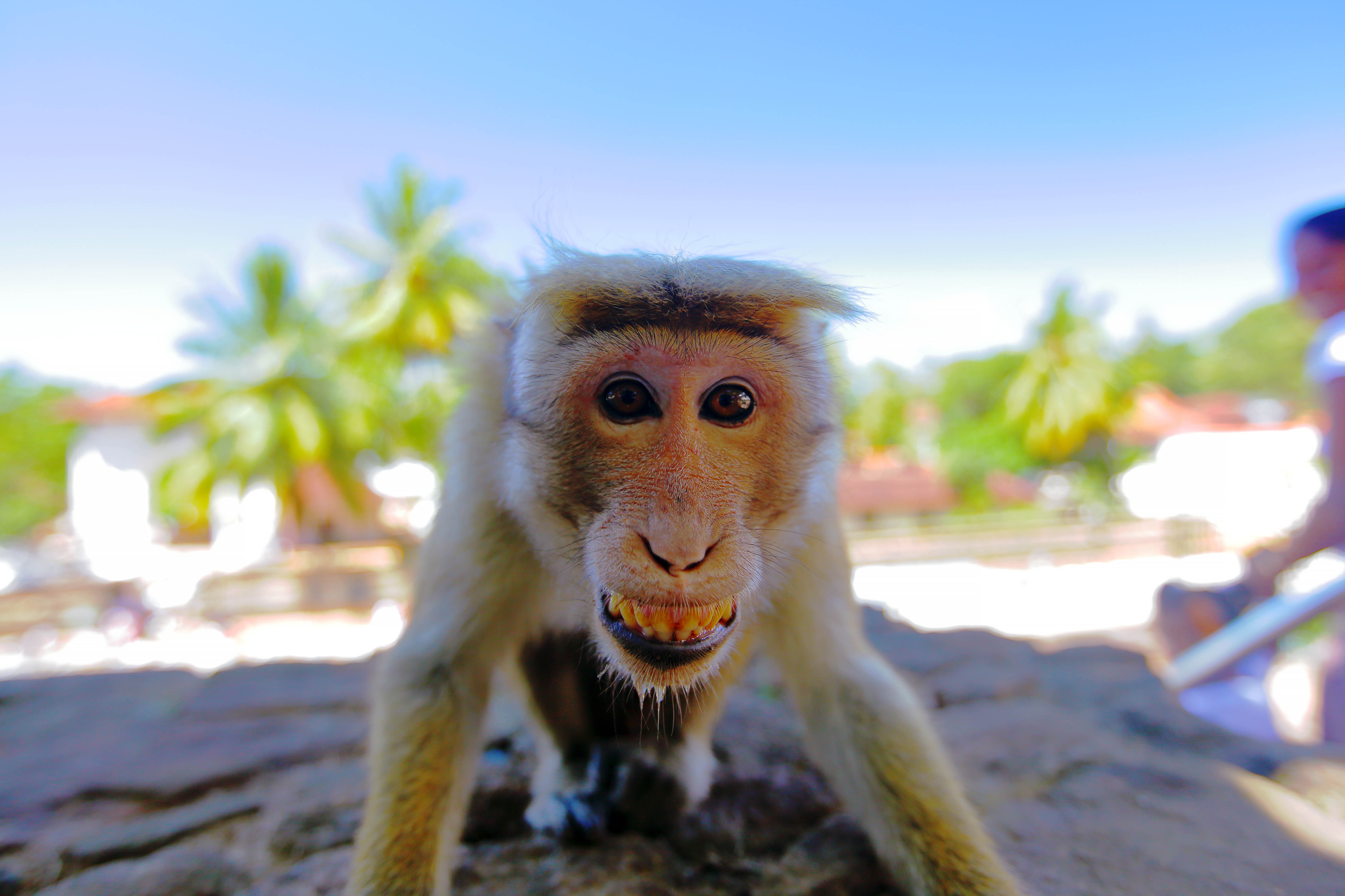 leren-met-wilmar-de-rechten-van-een-fotograaf