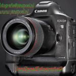 oiseau-avec-parapluie-sous-la-pluie