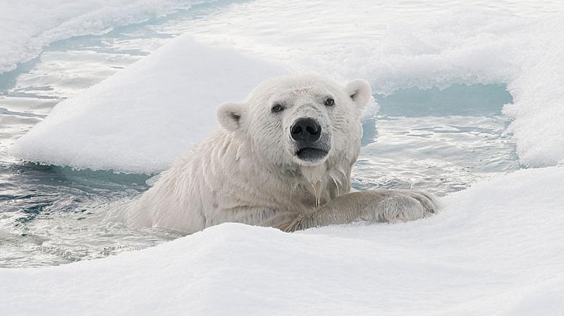 komende-zaterdag-lezing-jan-vermeer-over-fotograferen-op-spitsbergen