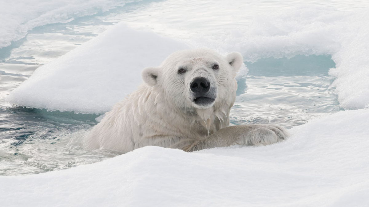 komende-zaterdag-lezing-jan-vermeer-over-fotograferen-op-spitsbergen