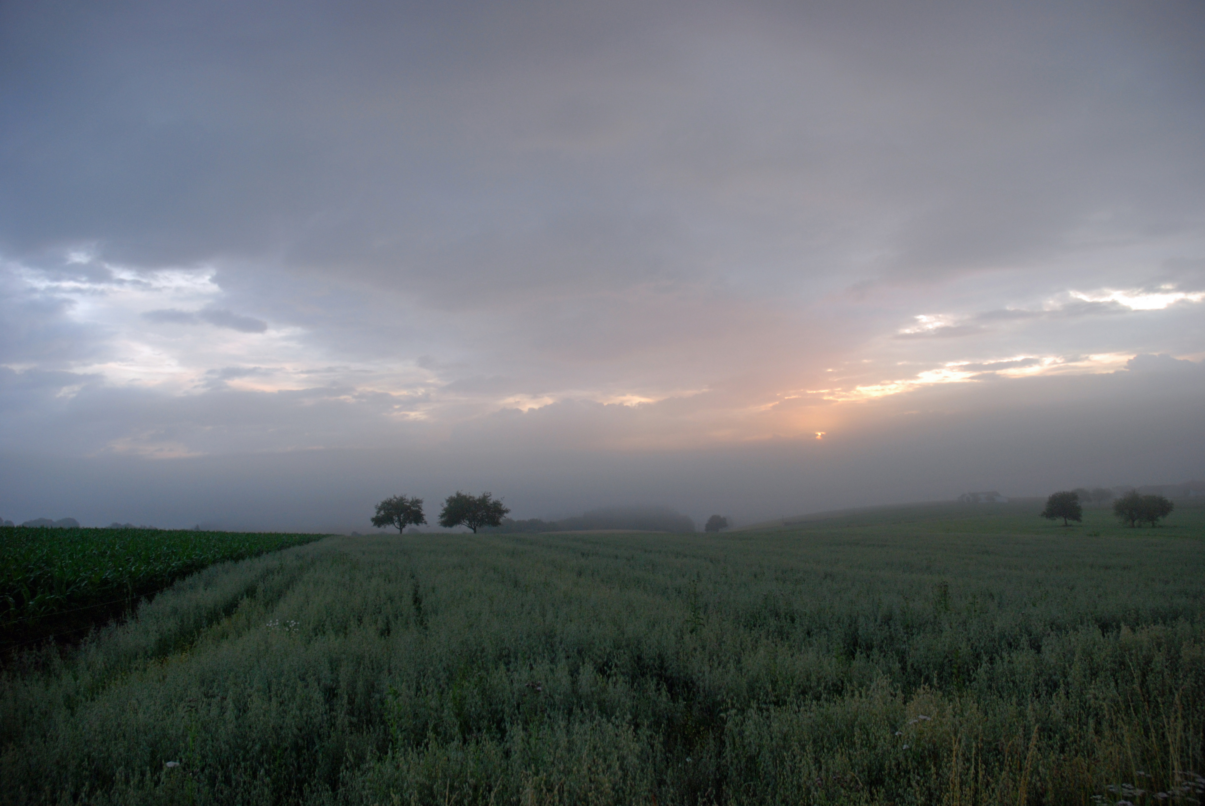 zonsopkomst-in-de-eifel