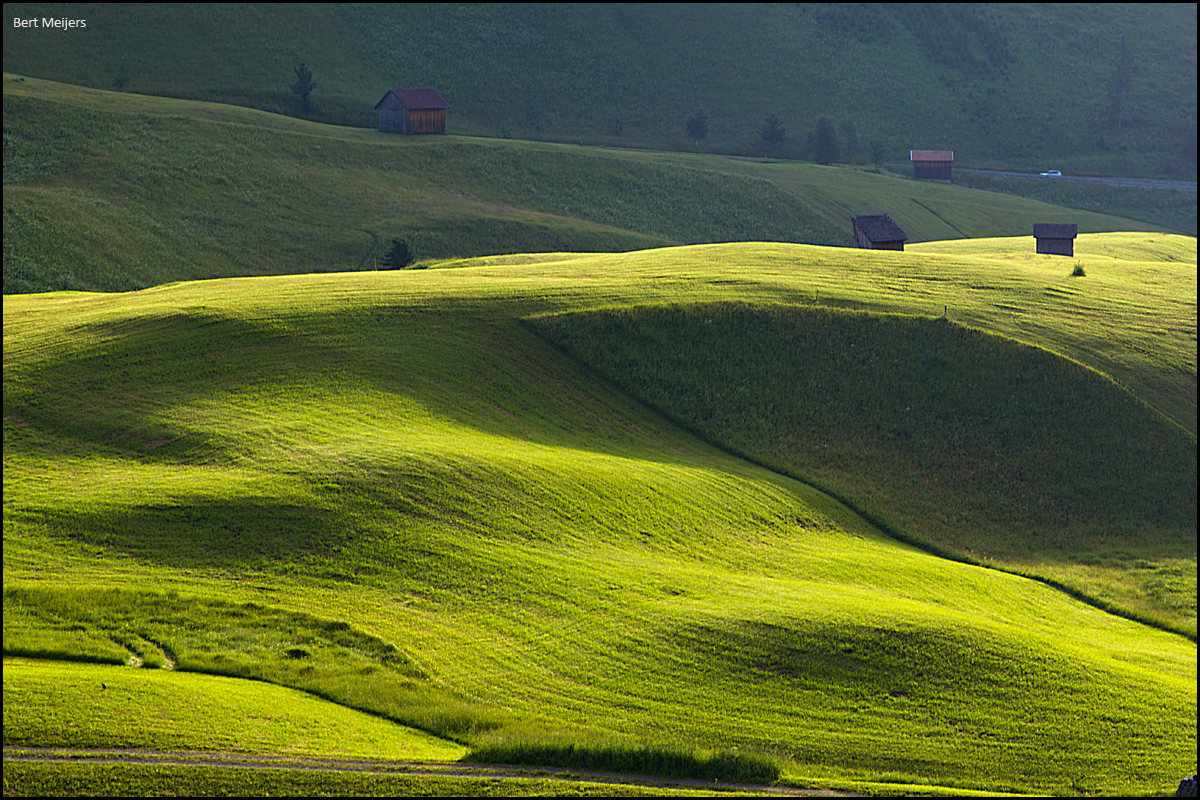 in-the-early-morning-1