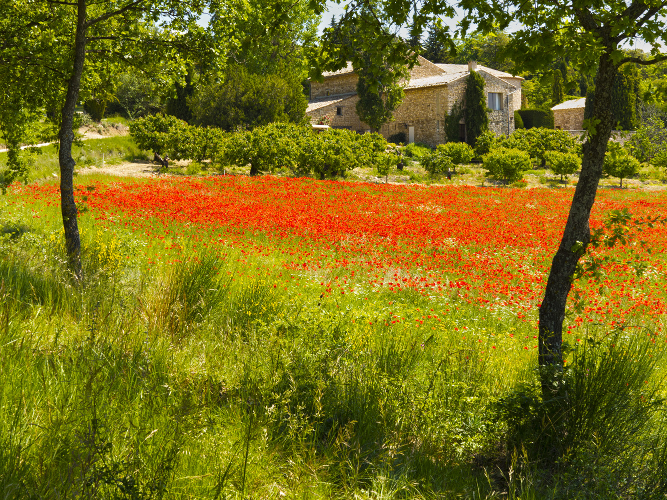 provence