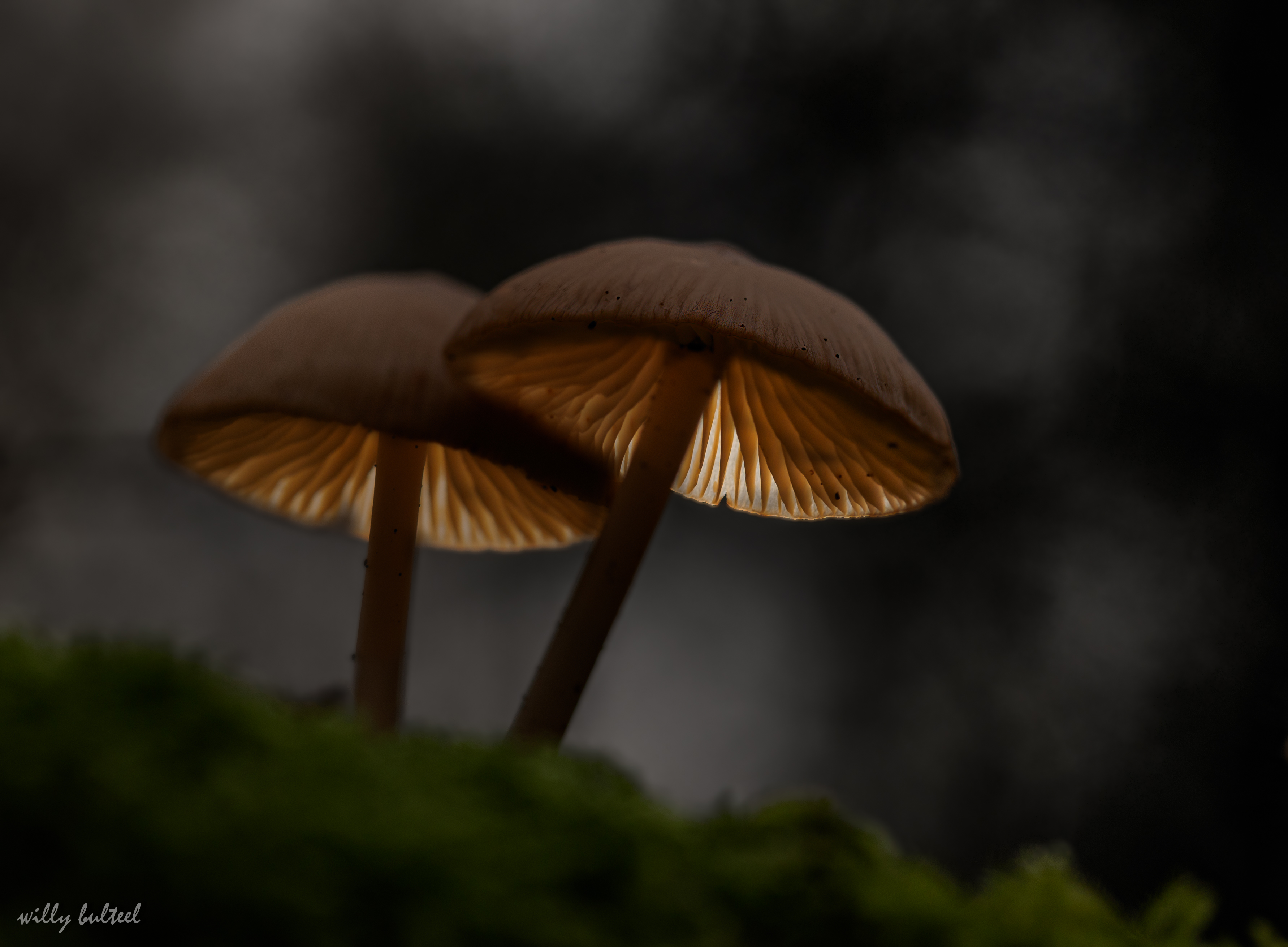 licht-in-de-duisternis