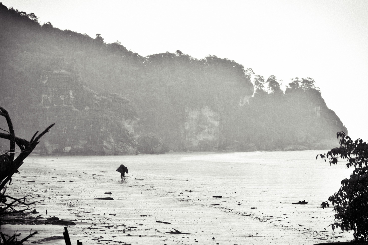 rainy-day-in-bako-national-parc-0