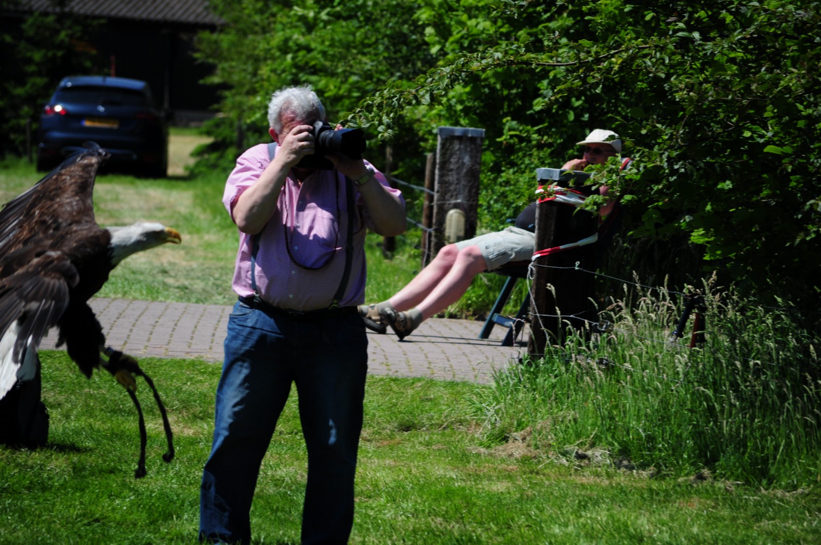waar-is-die-vogel-nu-gebleven