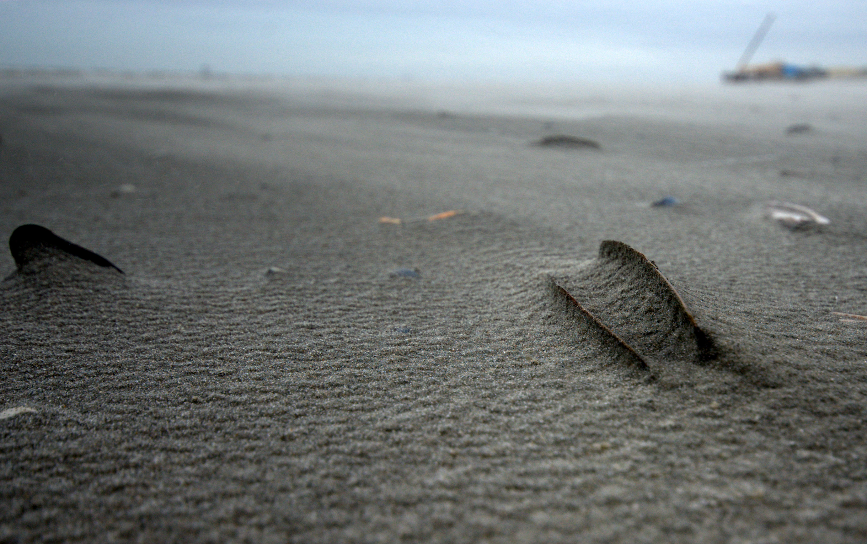 strand-ameland