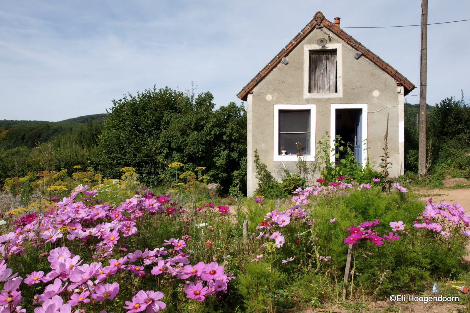 maison-de-l%C3%A9t%C3%A9-0