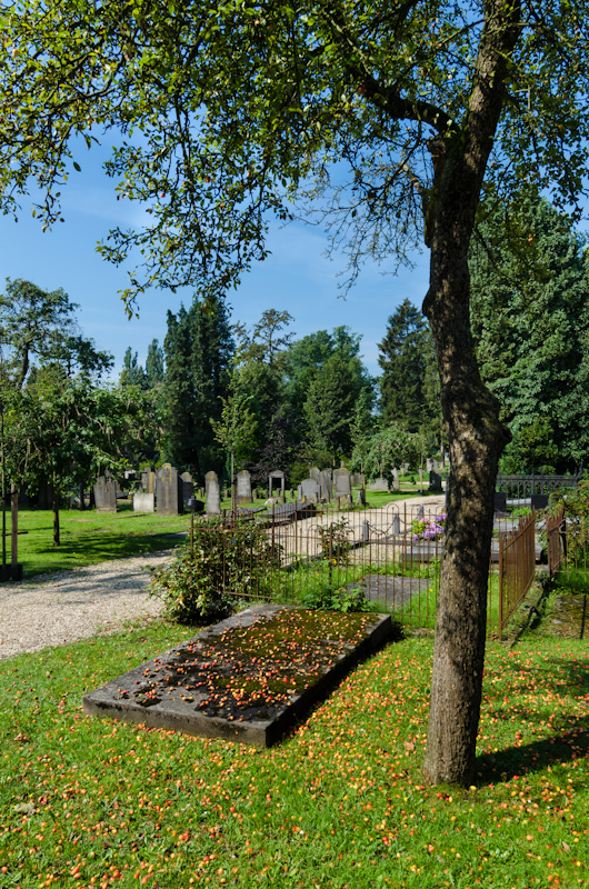 grafsteen-onder-een-boom-bedekt-met-appeltjes