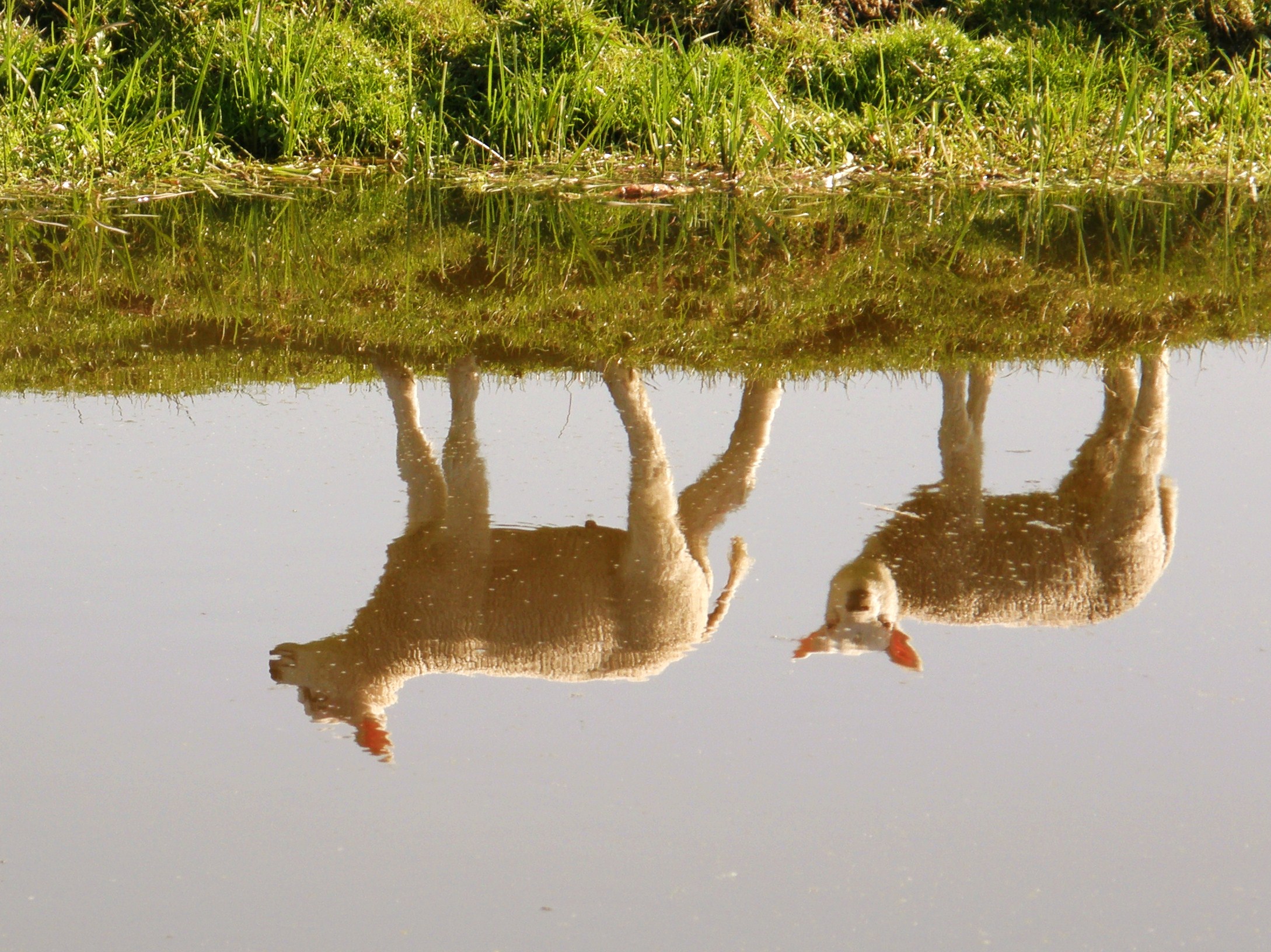 m%C3%A8%C3%A8%C3%A8%C3%A8hh