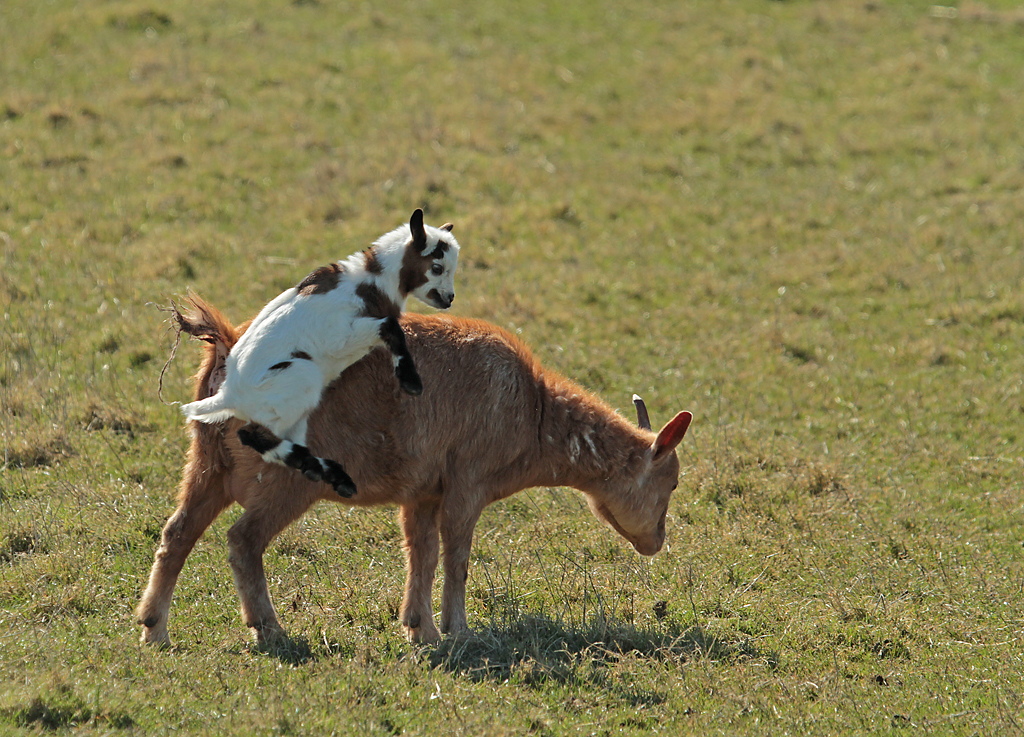 lente-in-zijn-koppie