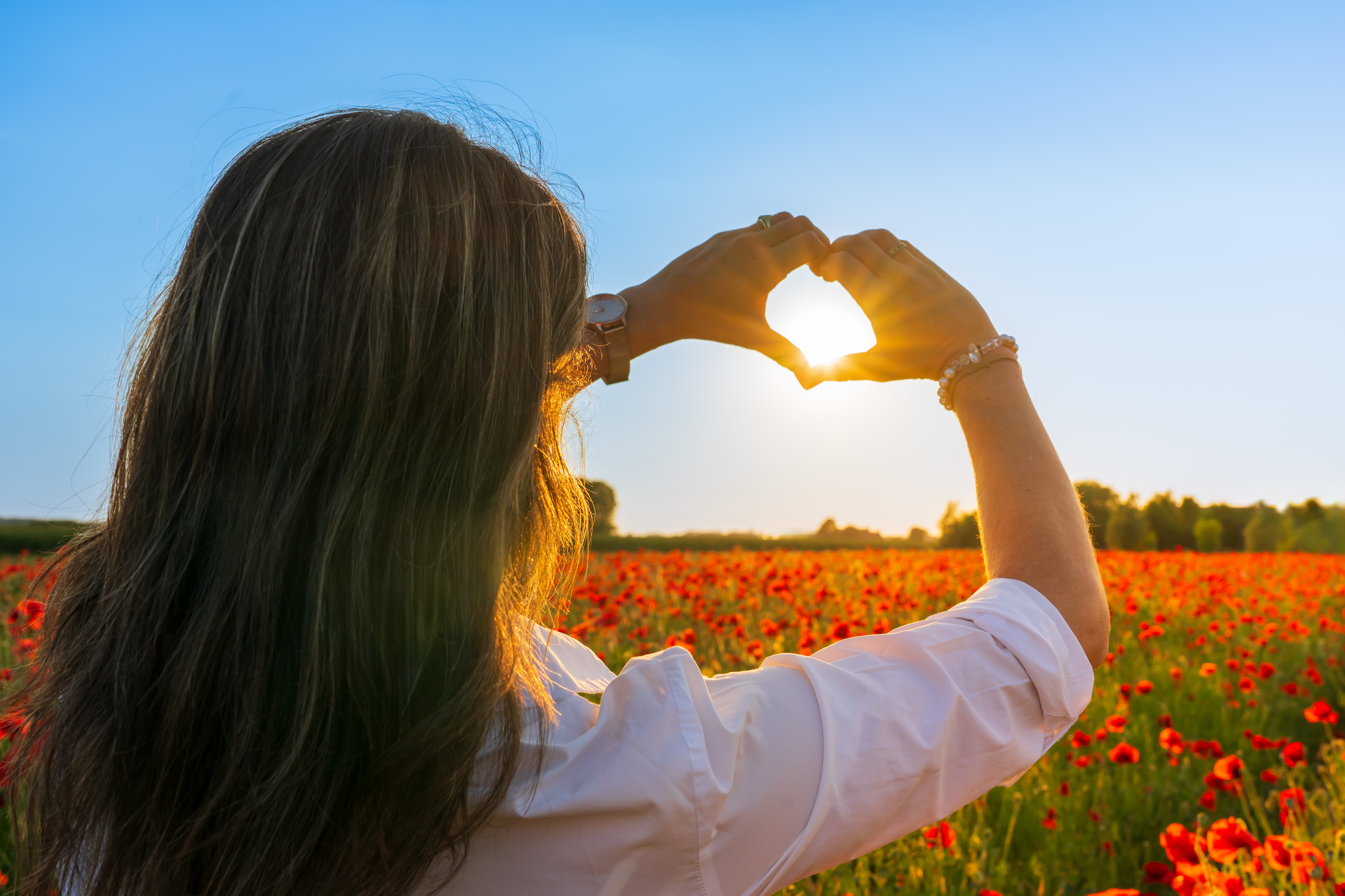 with-love-from-the-poppies