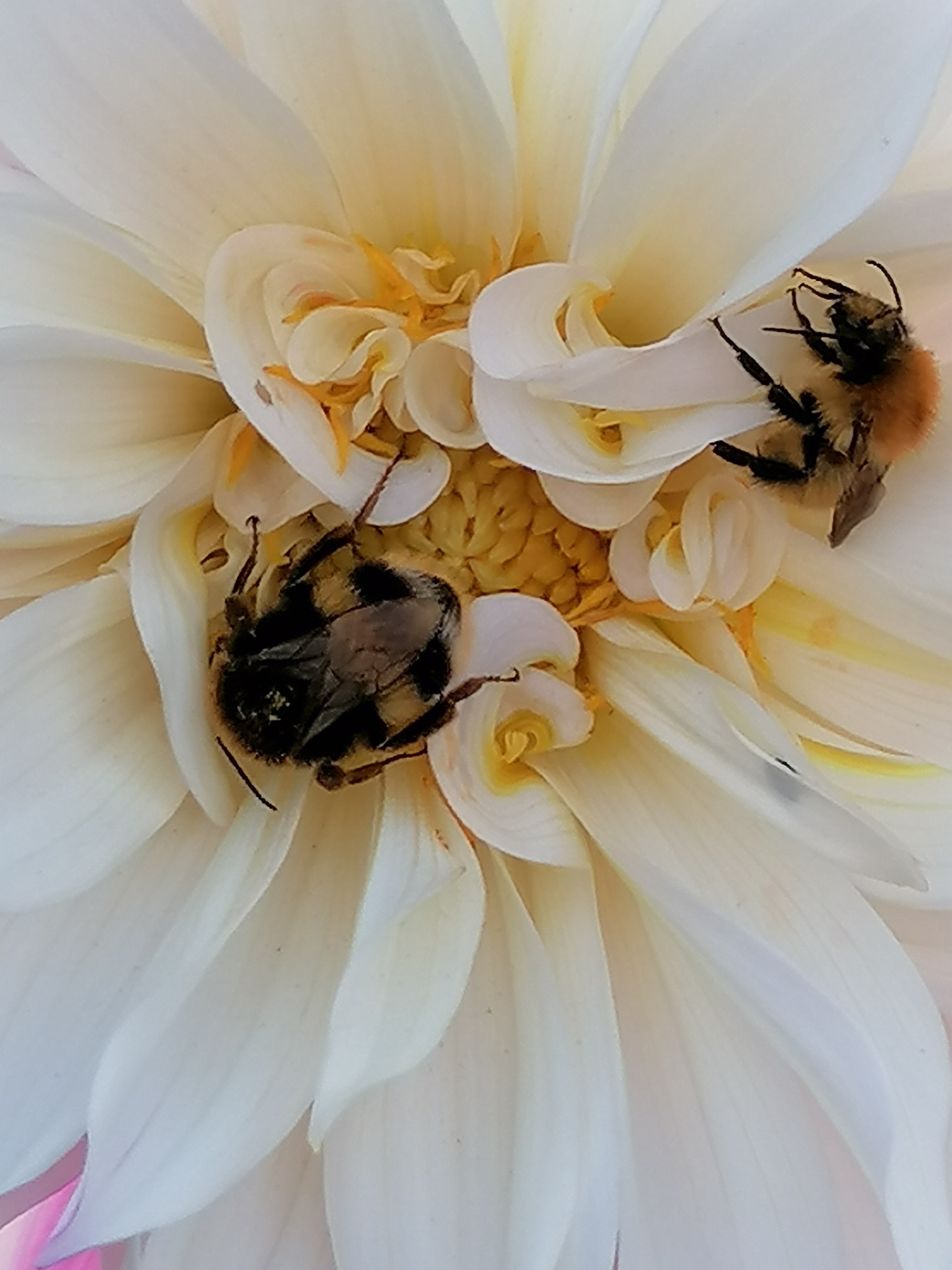 uitrusten-na-gedane-arbeid