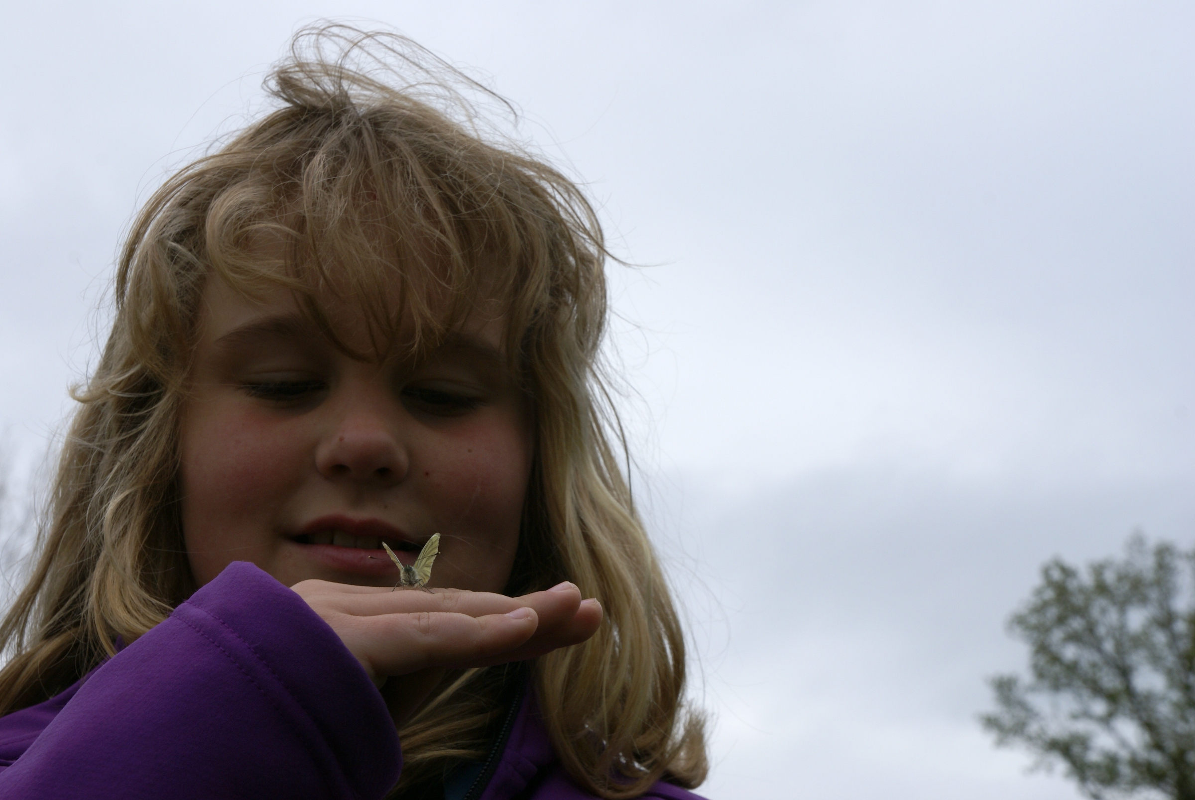 laura-met-klein-geaderd-witje