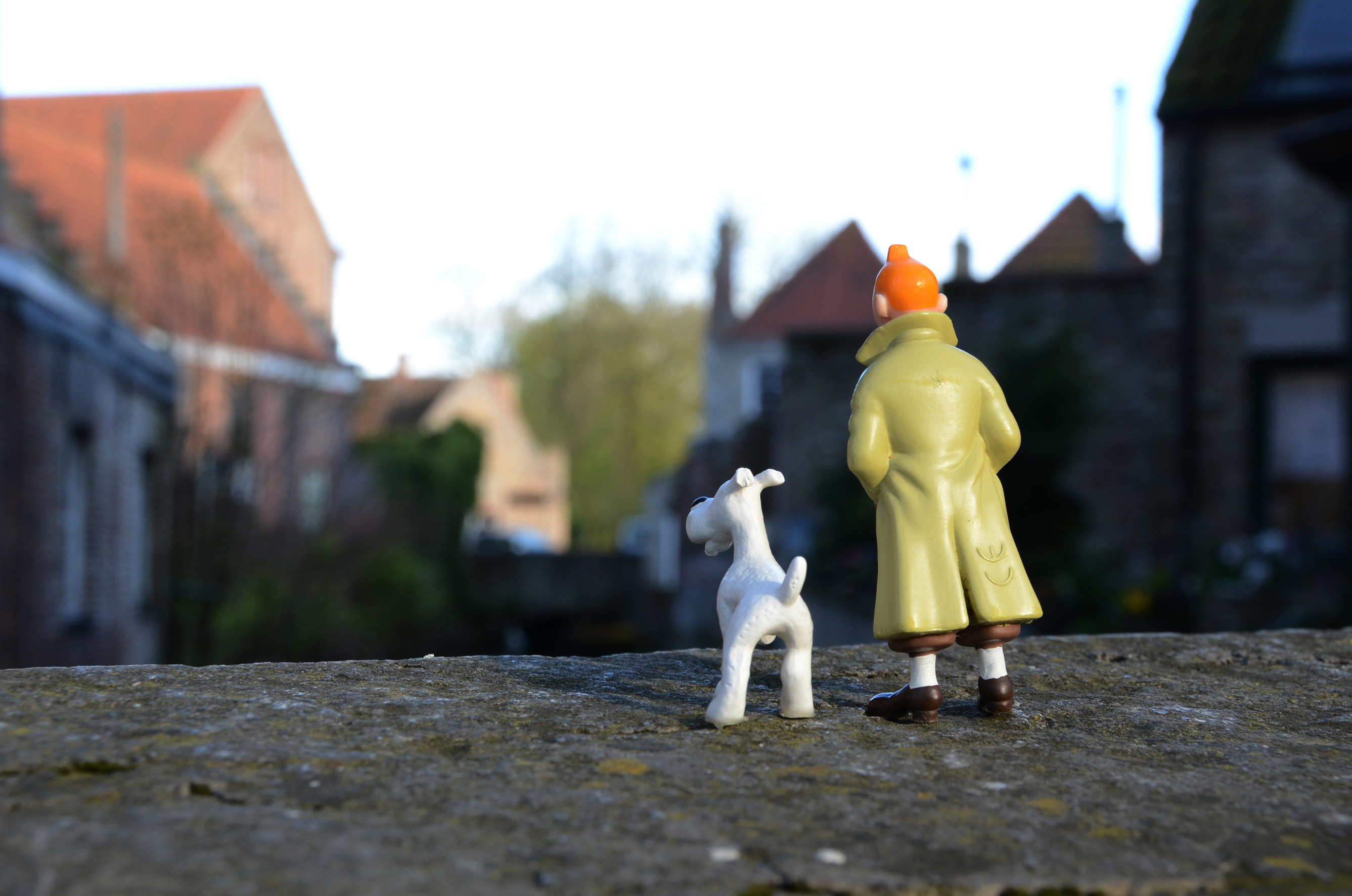 kuifje-en-bobbie-genieten-van-het-uitzicht