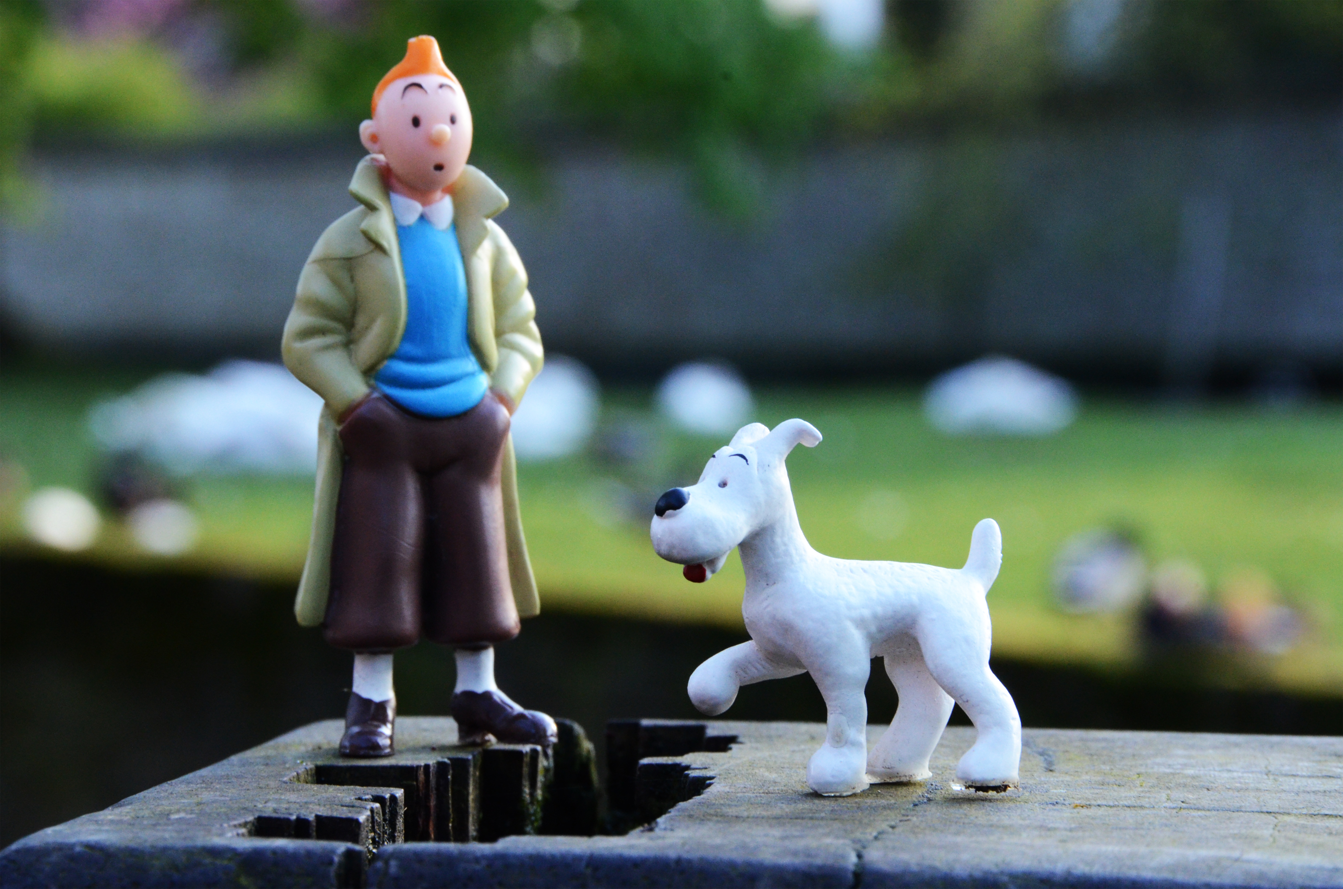 kuifje-en-bobbie-op-stap