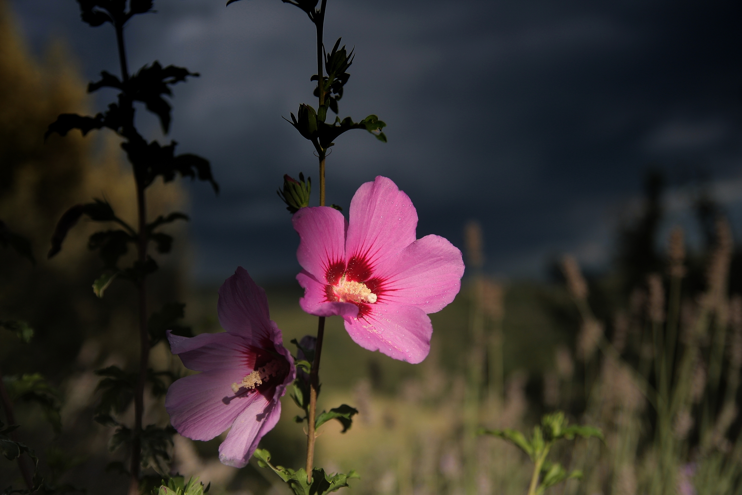 de-lente-verslaat-de-winter