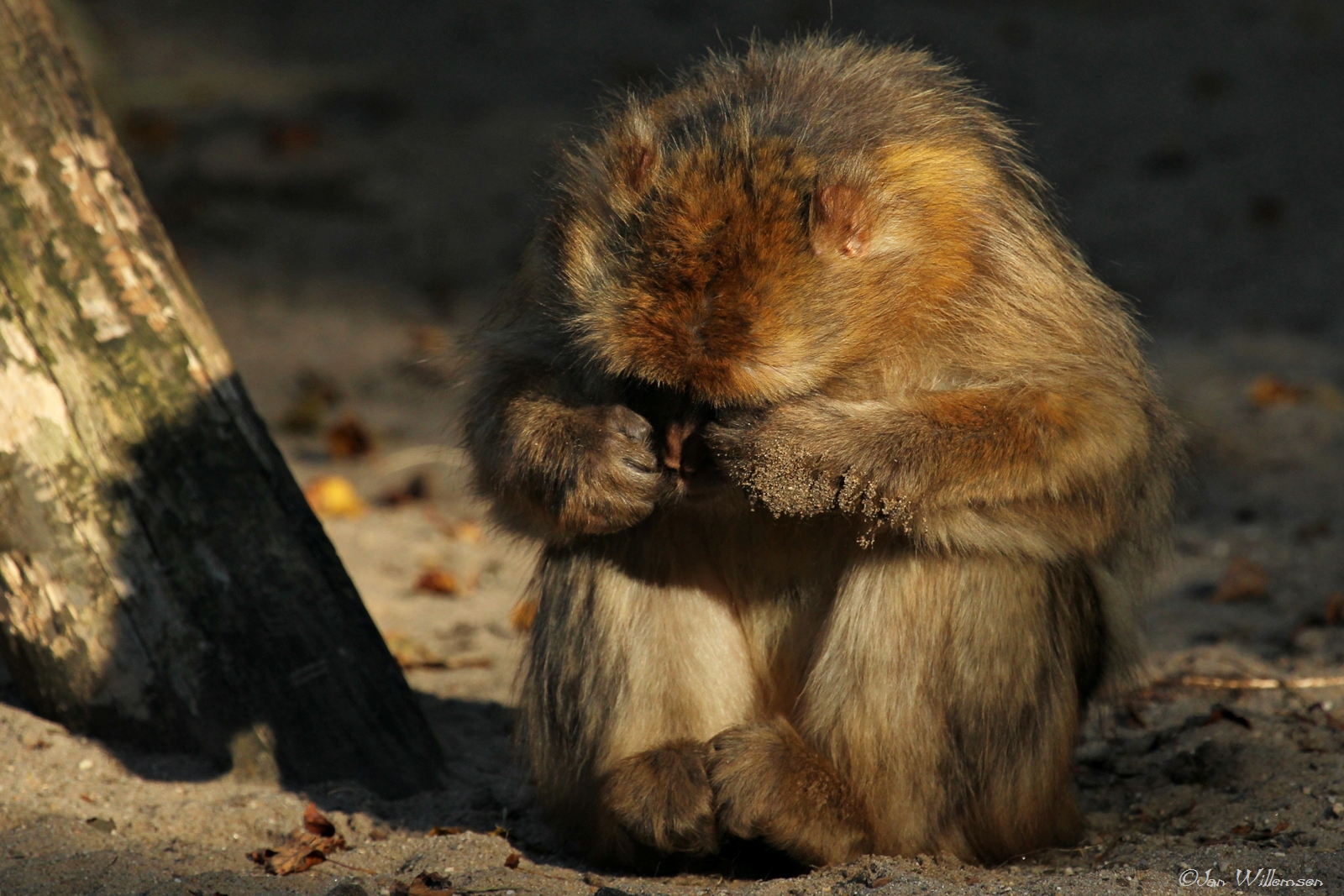ff-wennen-aan-het-lente-zonnetje