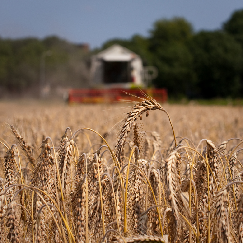 klaar-om-gegeten-te-worden