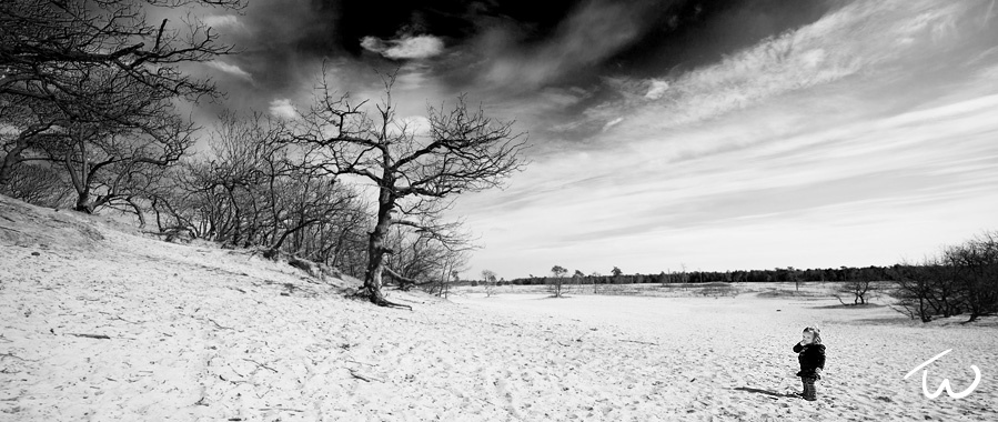 loonse-en-drunense-duinen-4