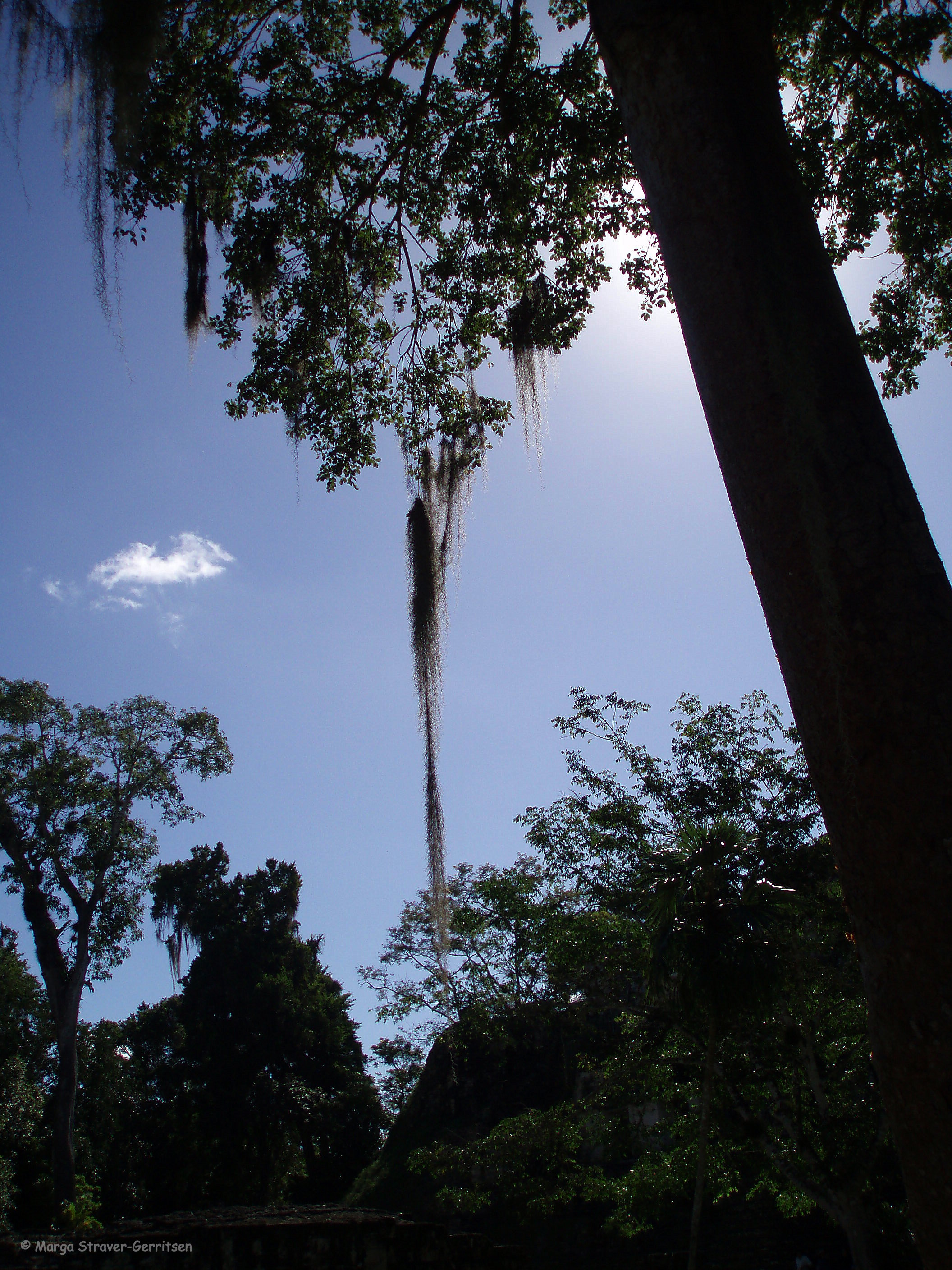 g-een-wolkje-aan-de-lucht