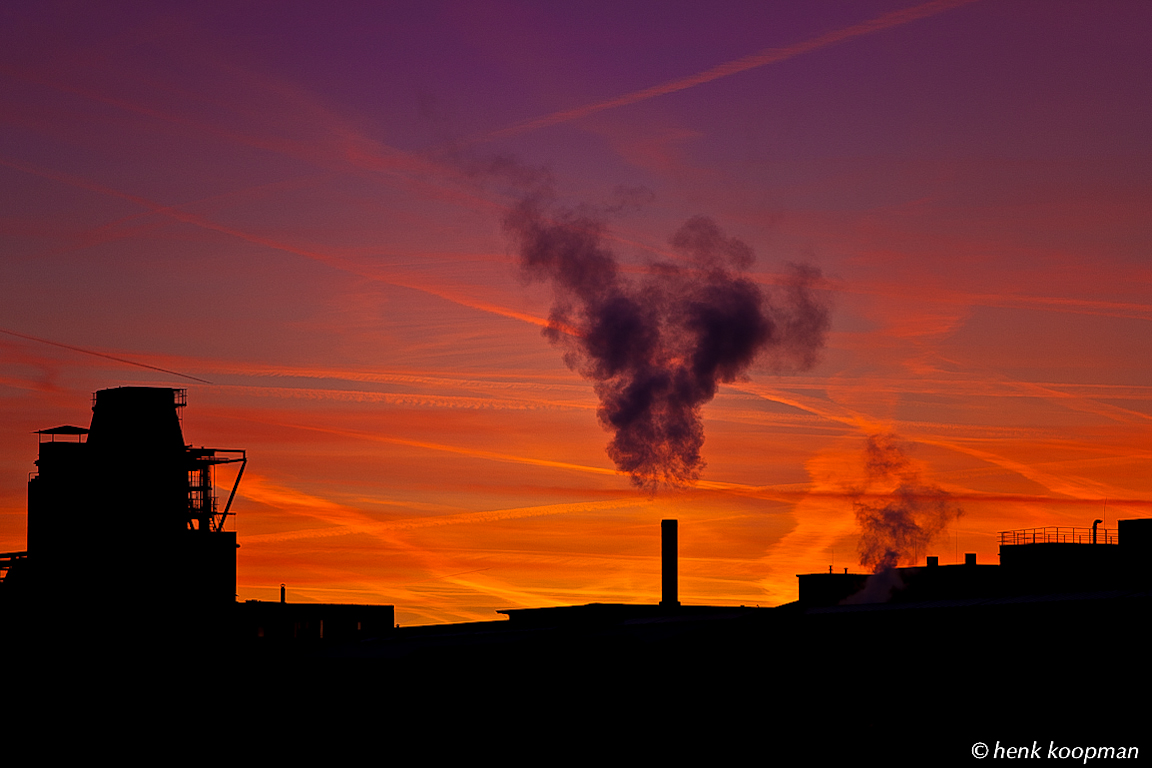 industrie-by-night-2