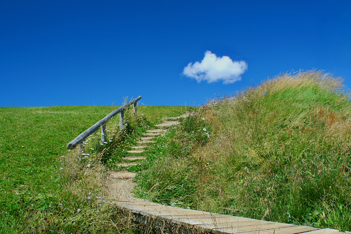 the-road-to-the-beginning-of-the-end-of-a-beautiful-day