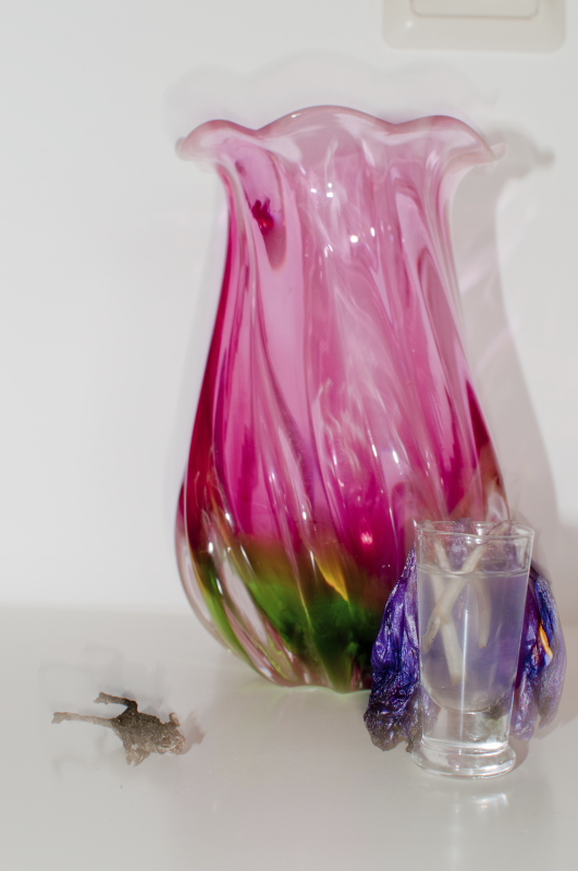 stilleven-met-verlepte-crocus