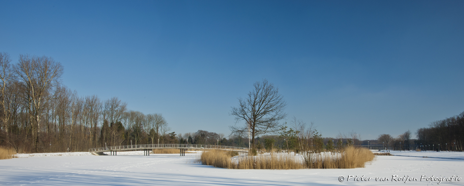 winter-in-het-zuiderpark
