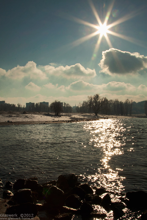 poolster-aan-de-waal