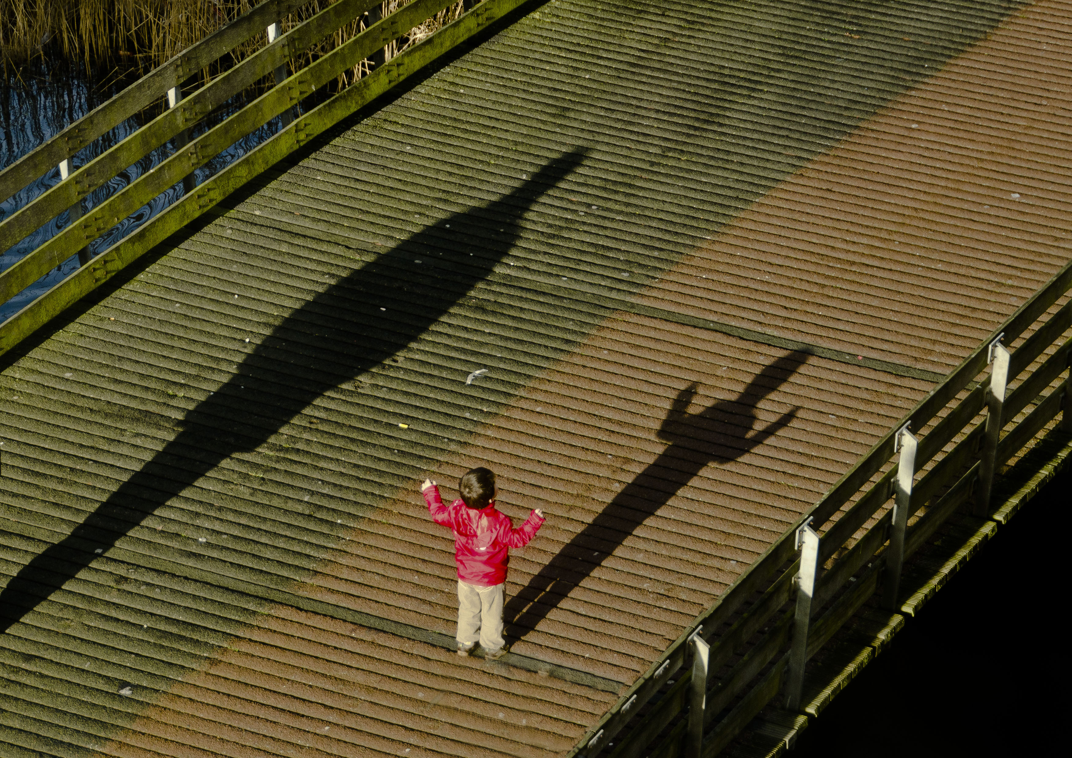 zeg-roodjackje-waar-ga-je-heen