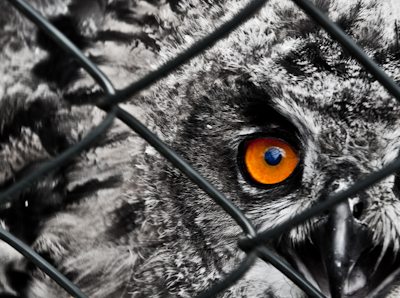 d%C3%A9gage-de-ma-cage