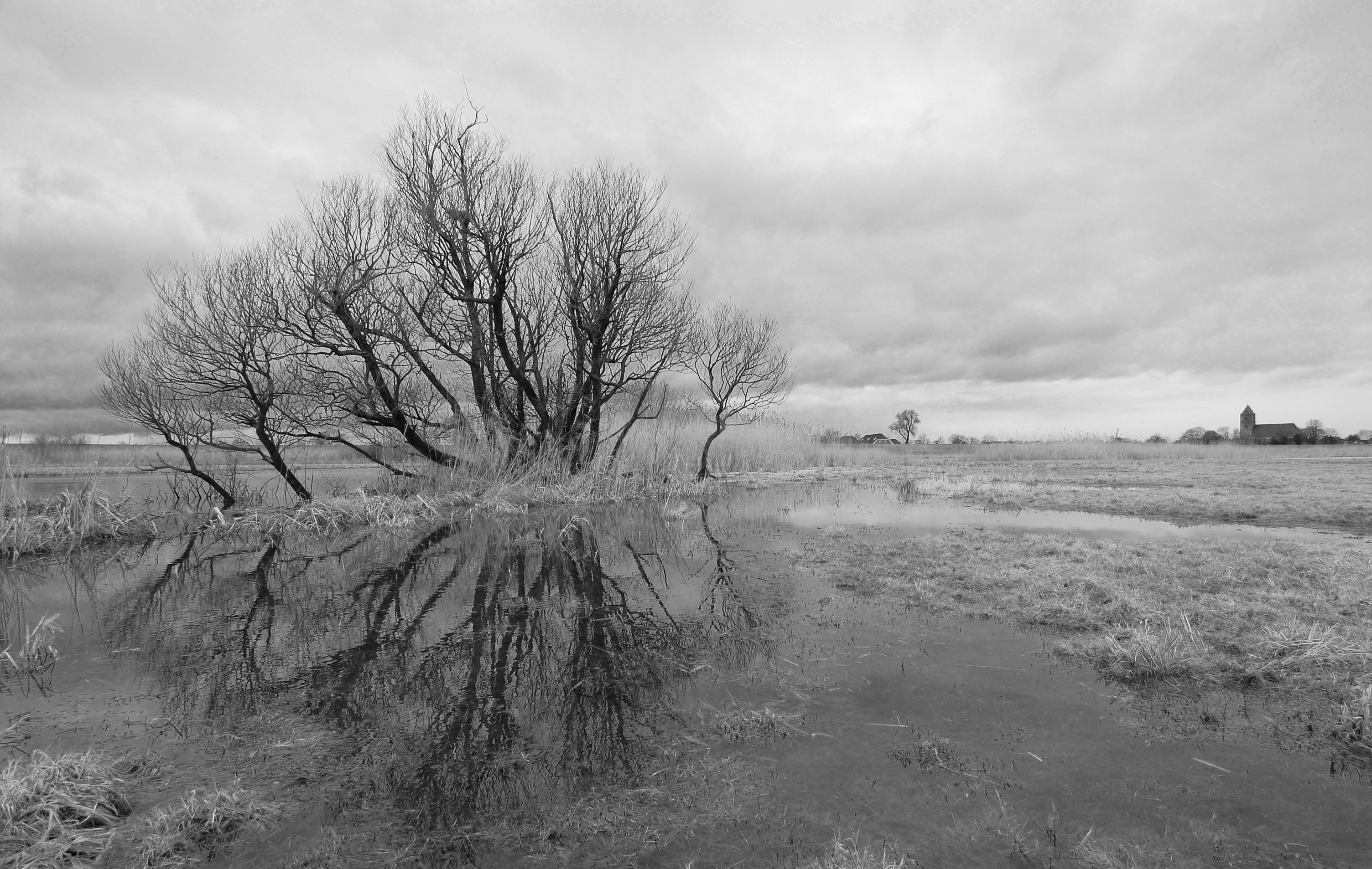 uiterwaarden-ijssel-1