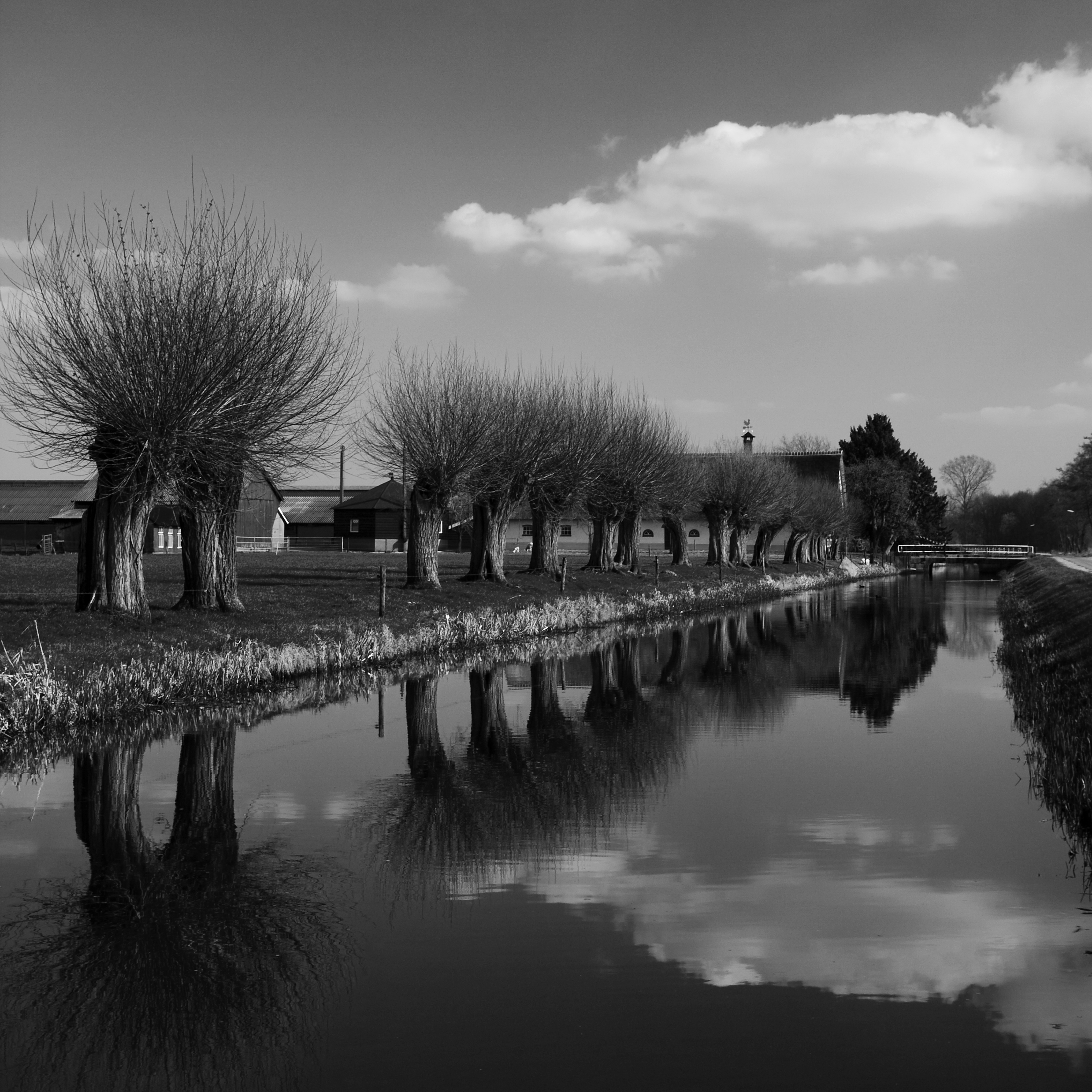 de-grift-in-zwart-wit