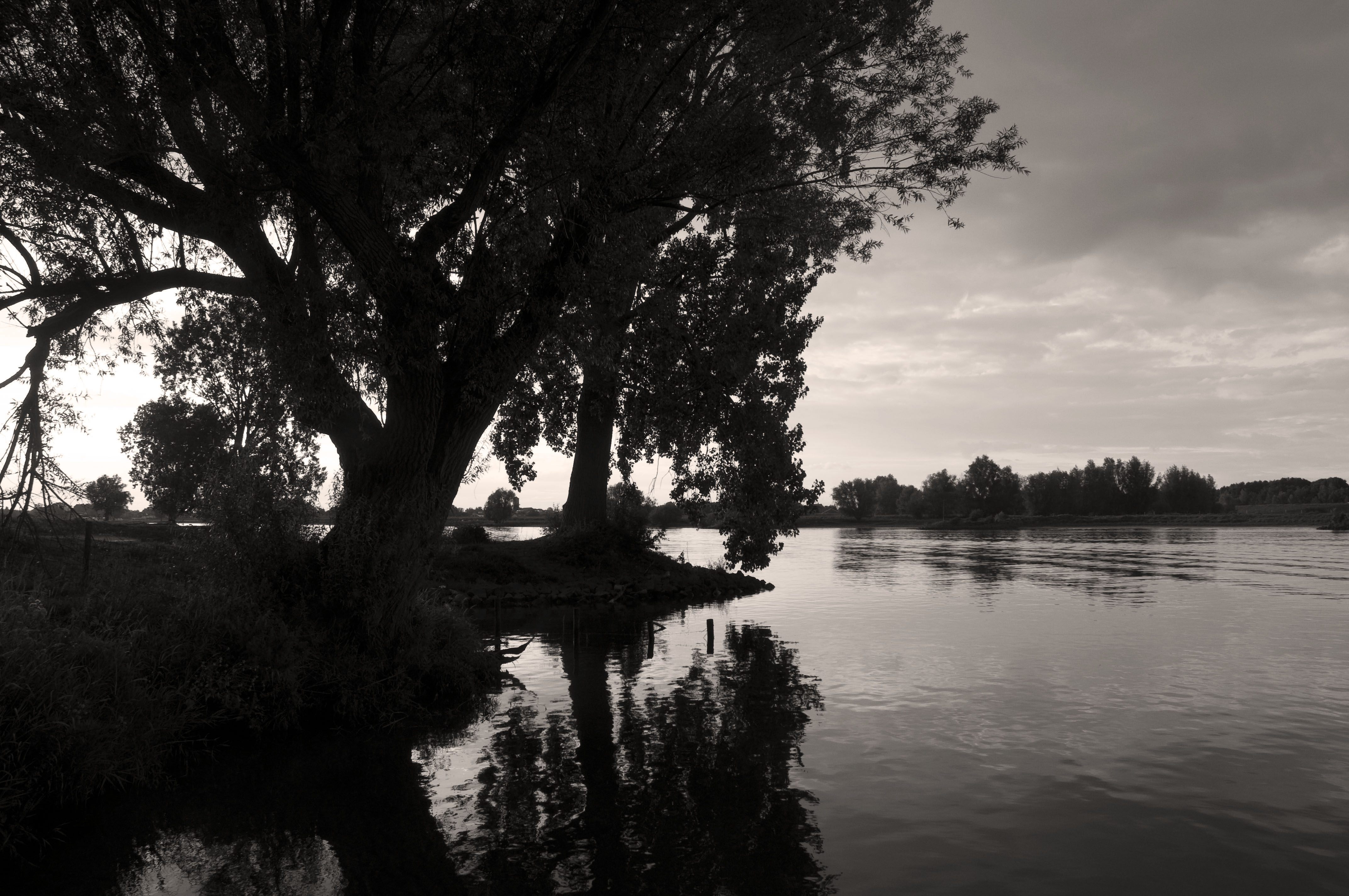 de-maas-bij-bokhoven