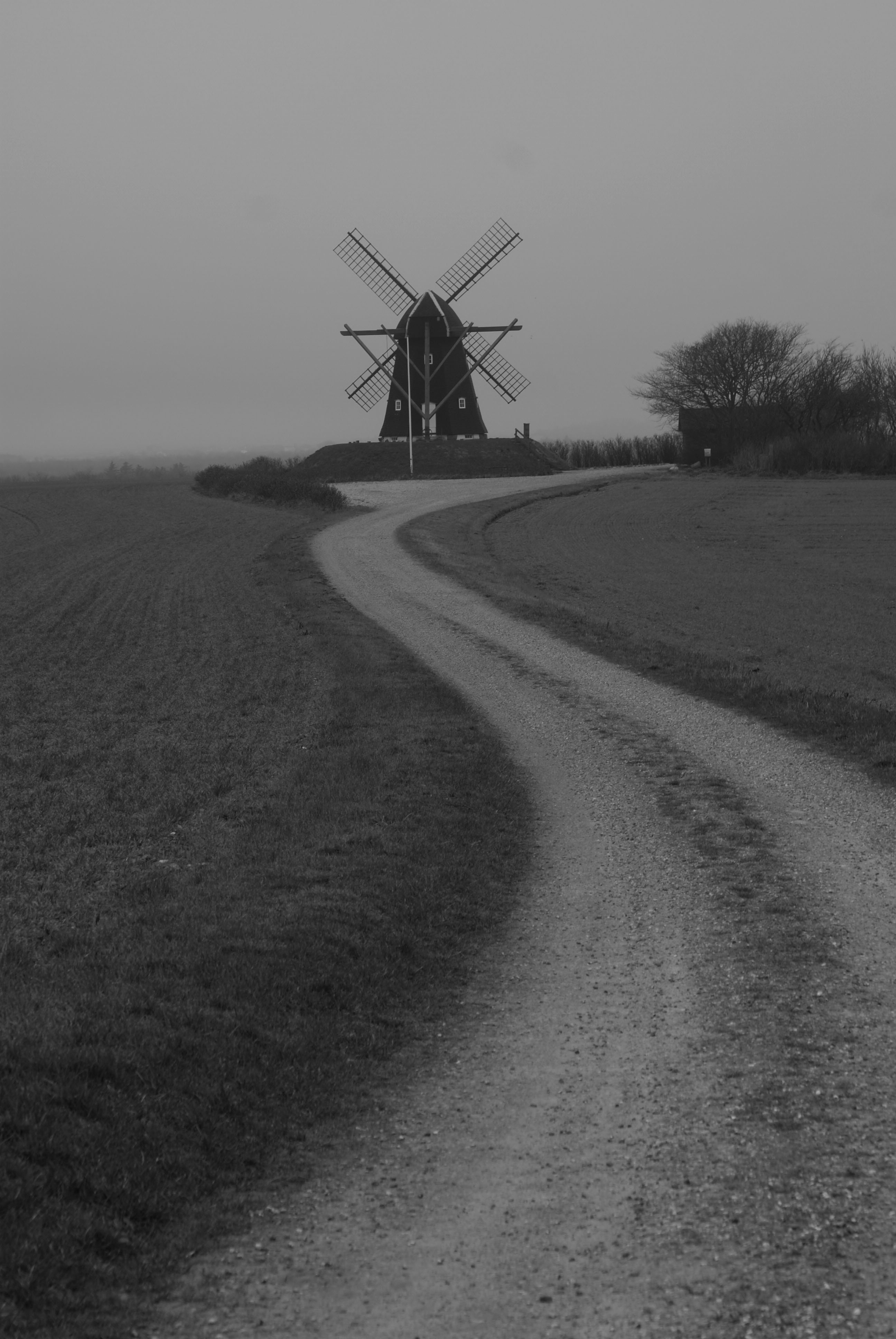 windmill-6