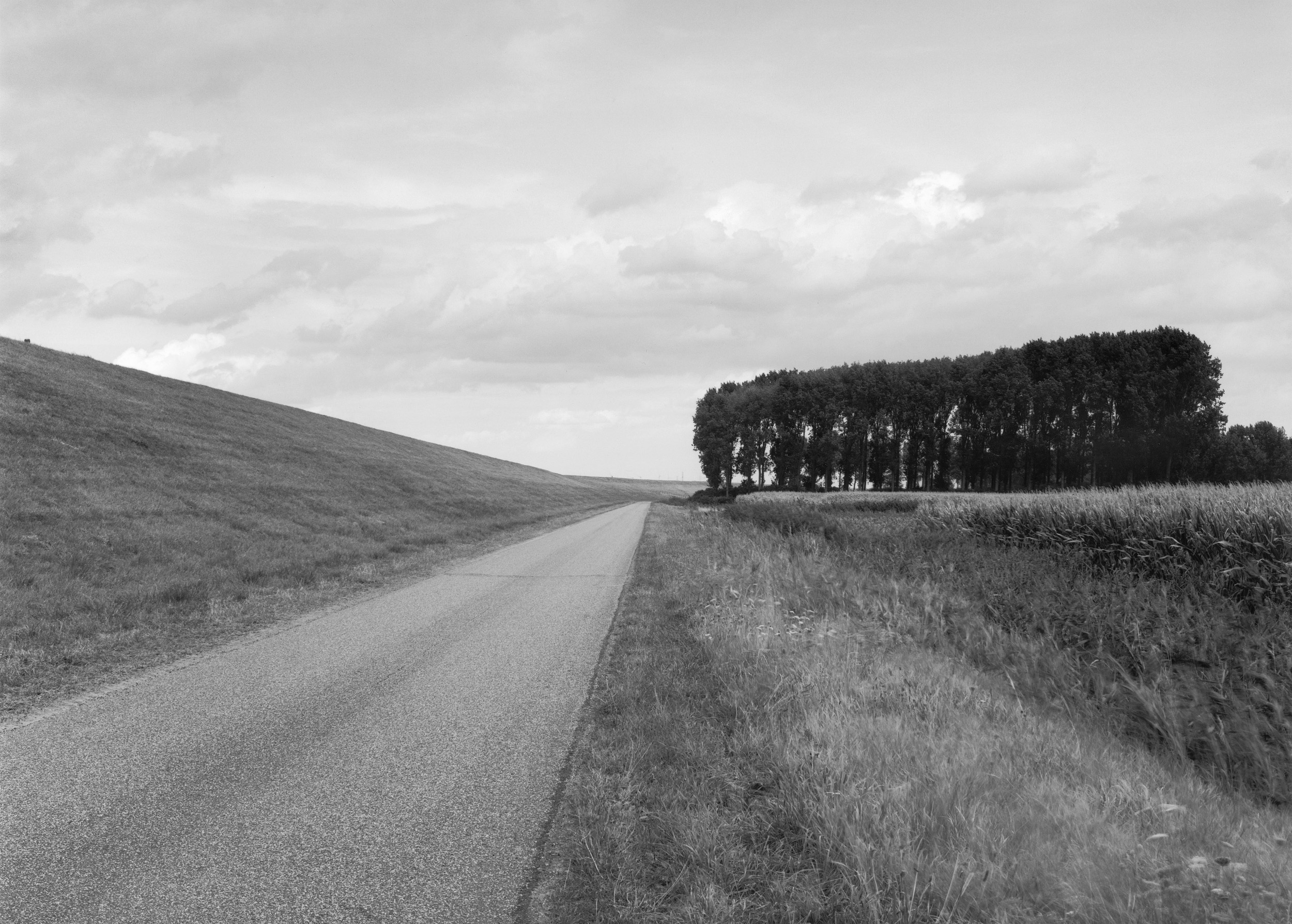 hertogin-hedwigepolder-11