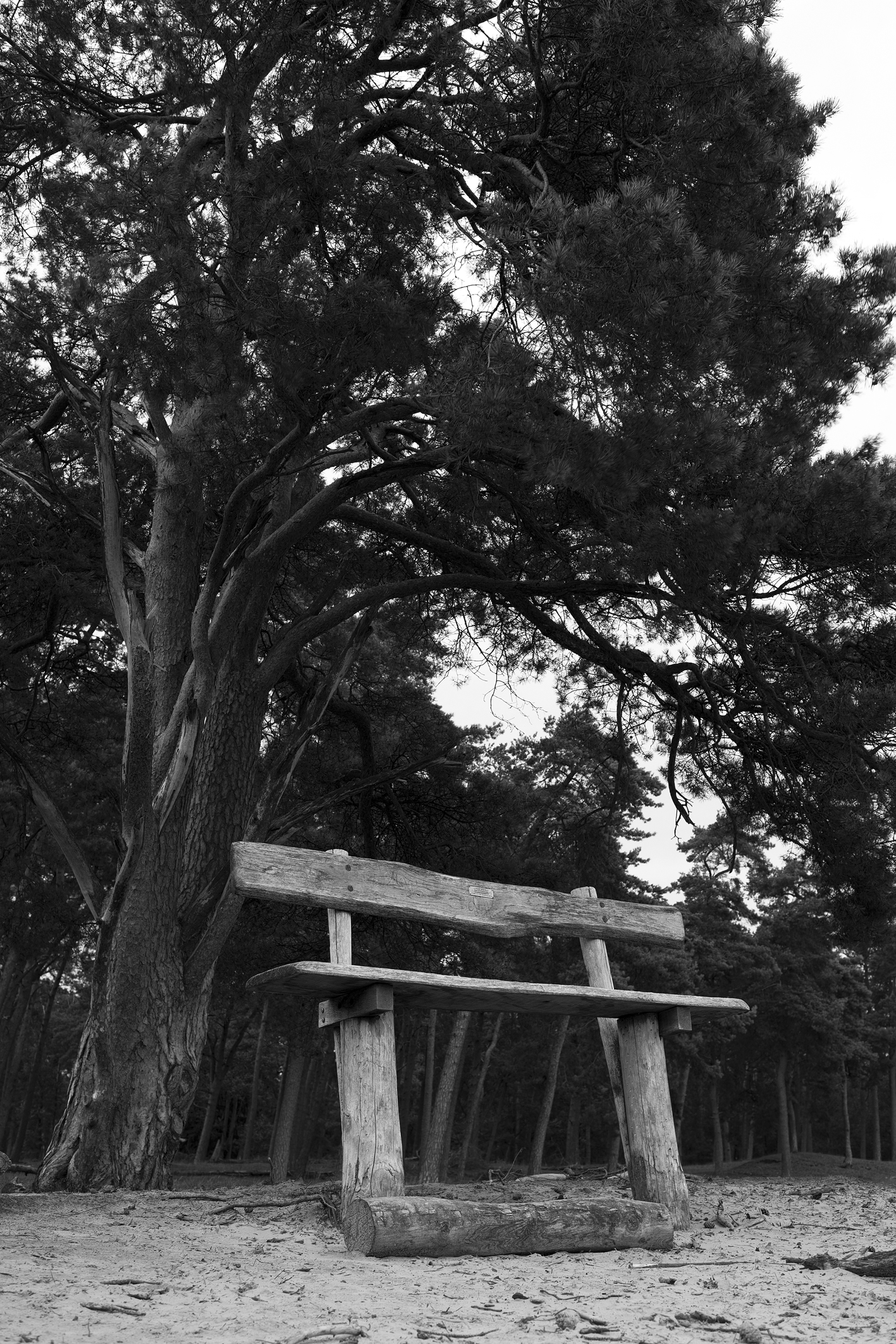 het-uitzicht-vanaf-het-uitzicht-gezien