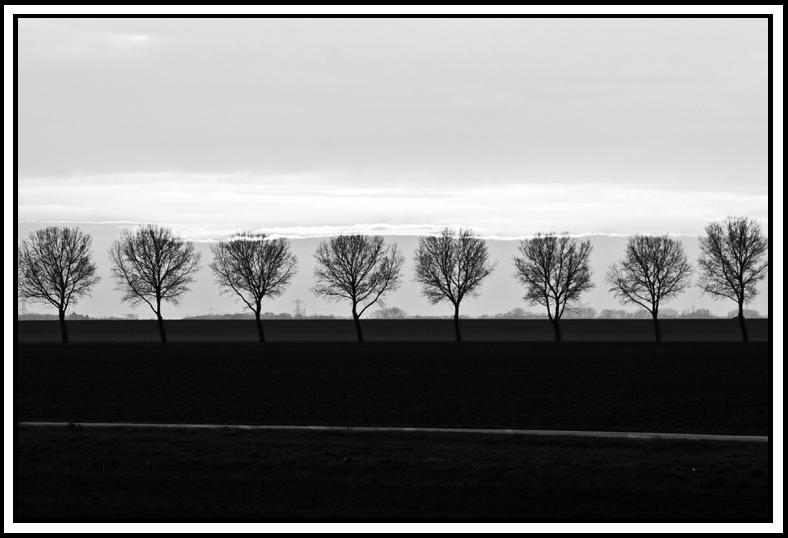 hollands-landschap-1-1