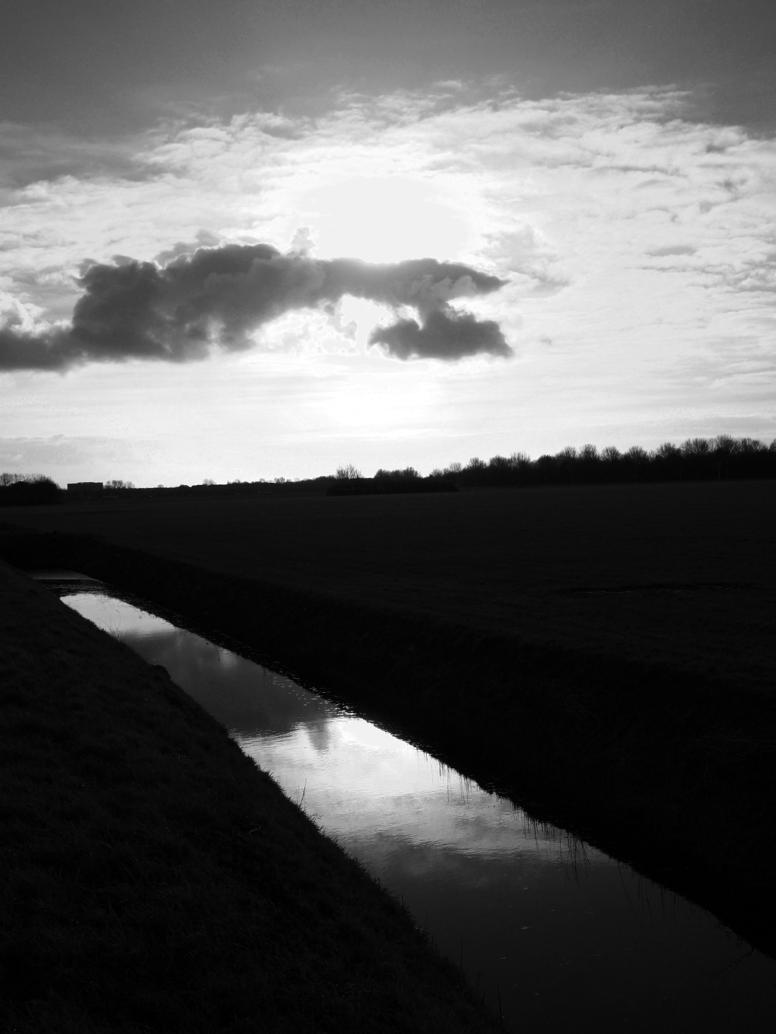 landschap-zwart-wit-0