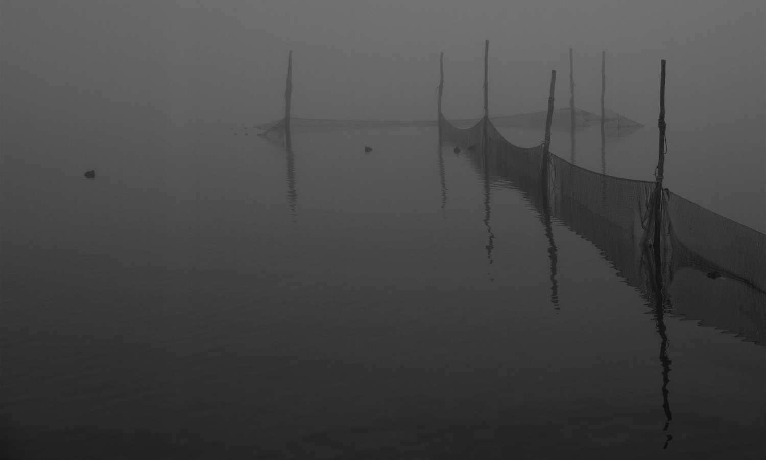 mist-over-het-markermeer