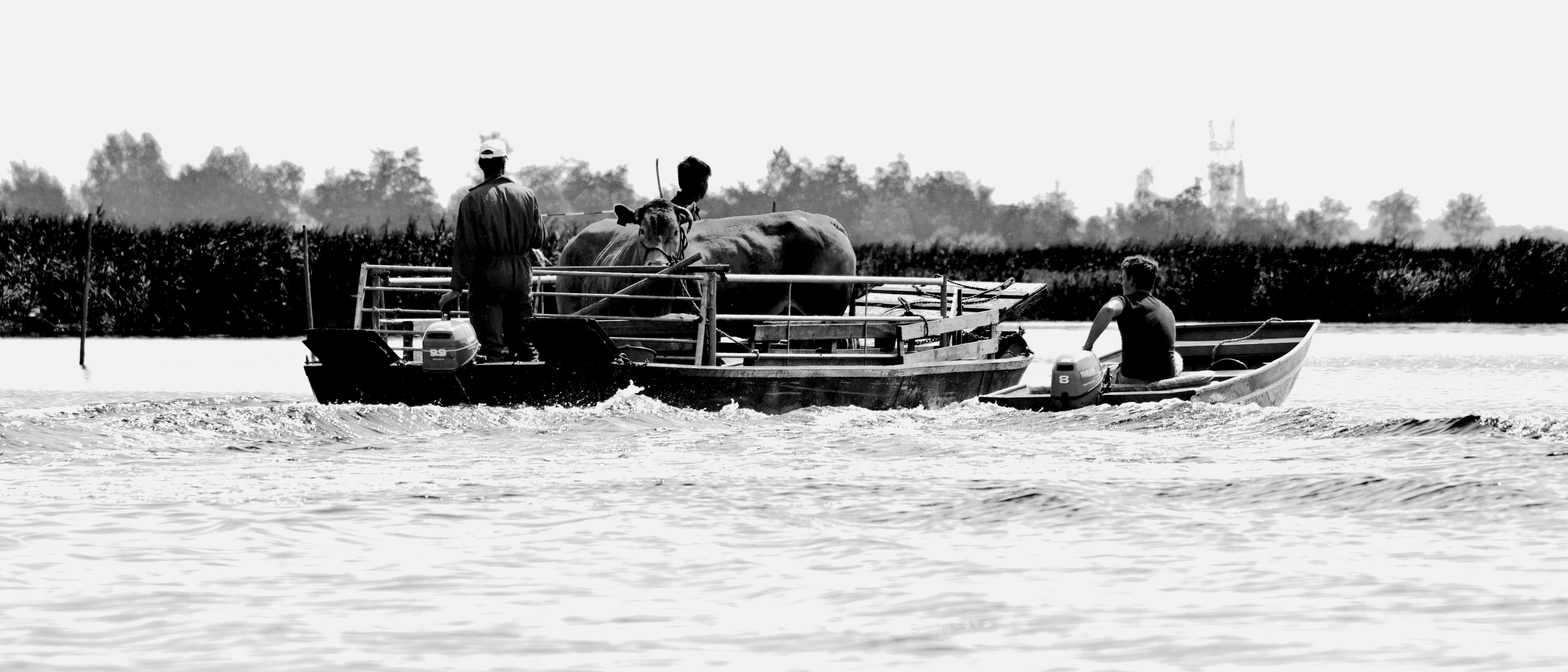 nederland-waterland-3