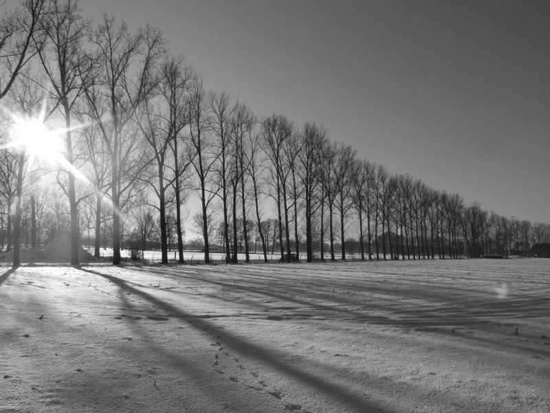 zon-schijnt-door-het-gordijn