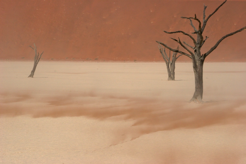 windvlaag-in-de-tijdloze-woestijn
