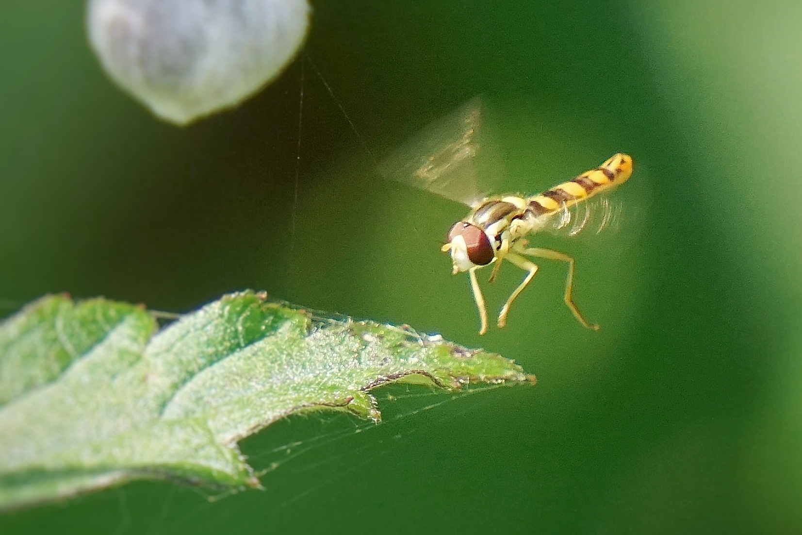 klaar-voor-de-landing