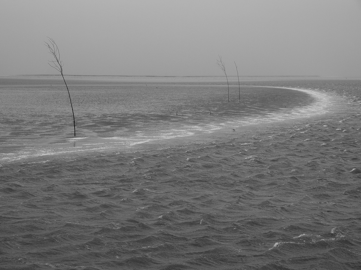 droogvallende-zandplaat