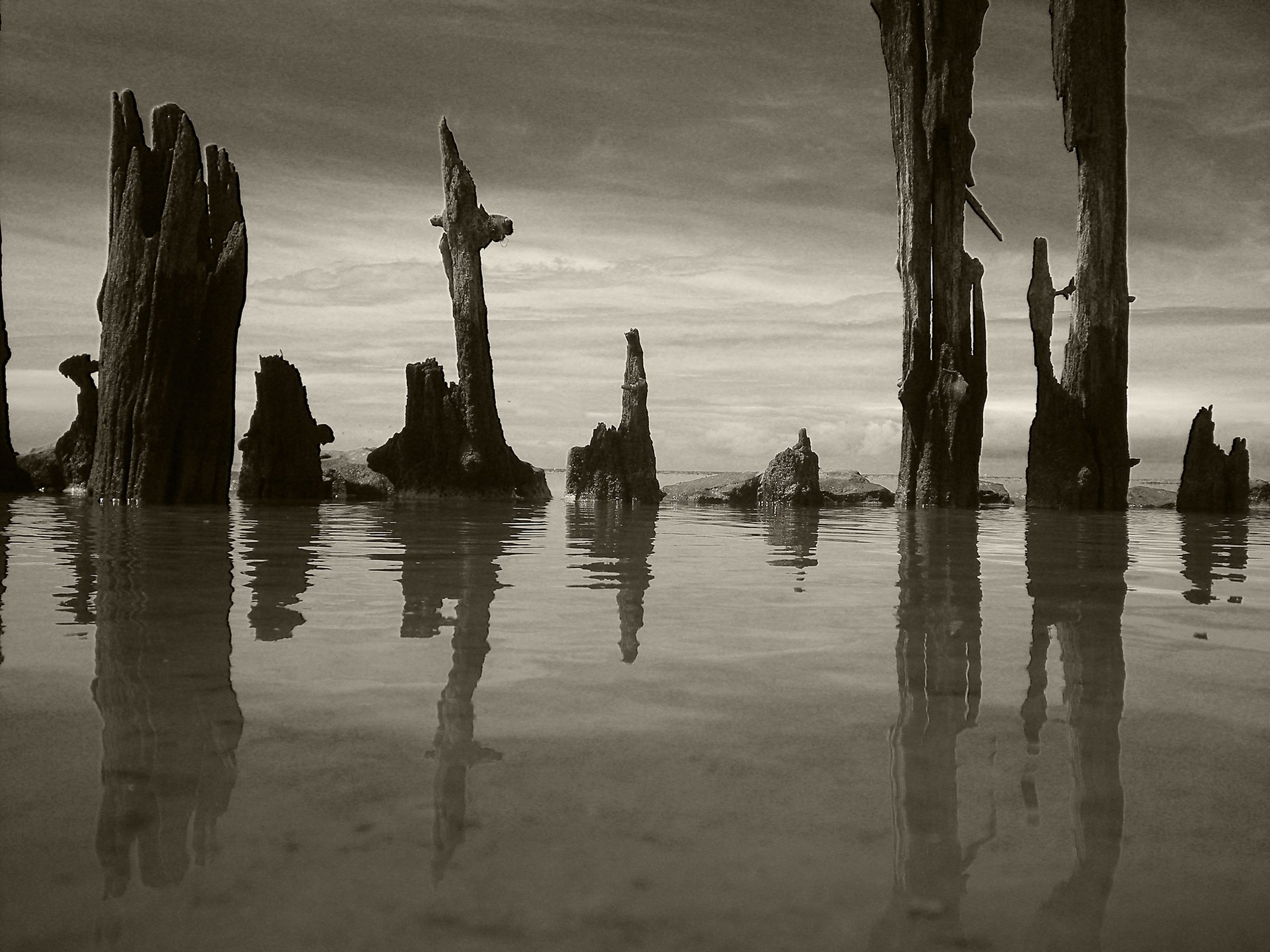 waddenlandschap-westhoek