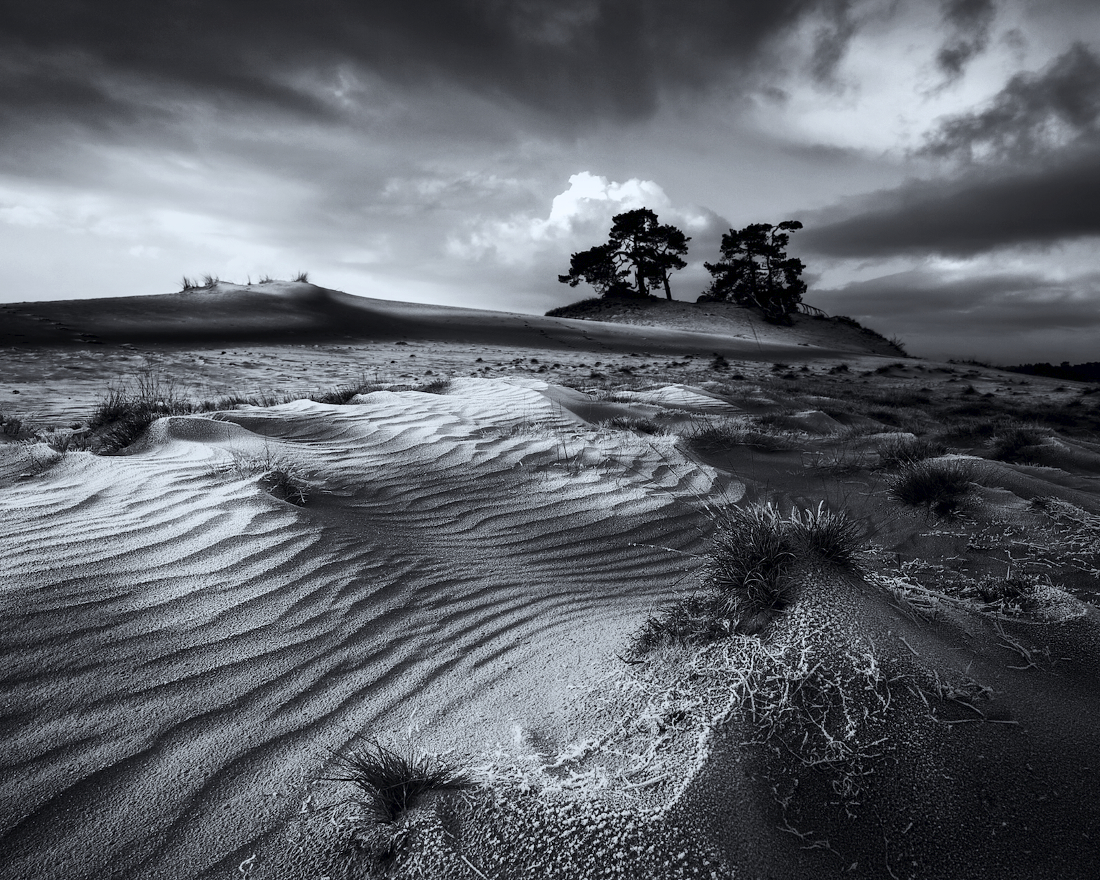 white-waves-kootwijk